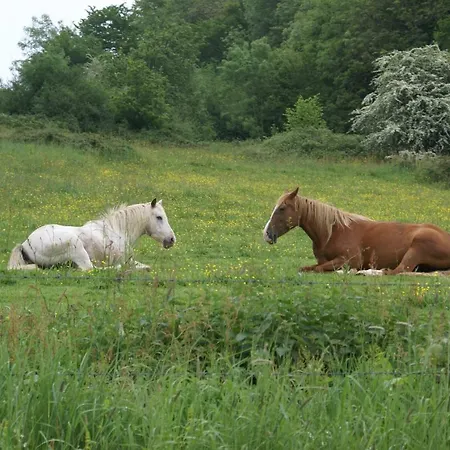Moulin Des Sablons Semesterbostad *
