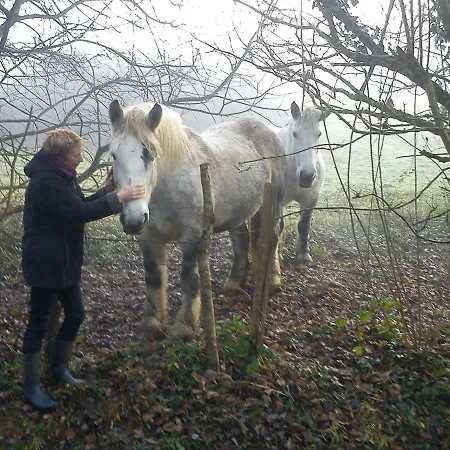 Moulin Des Sablons Holiday home