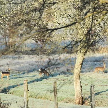 Semesterbostad Moulin Des Sablons