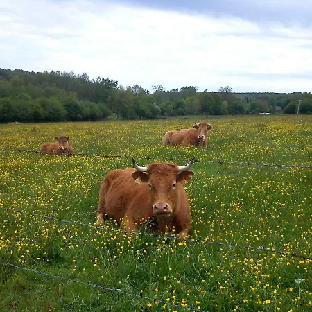 Moulin Des Sablons * Malétable