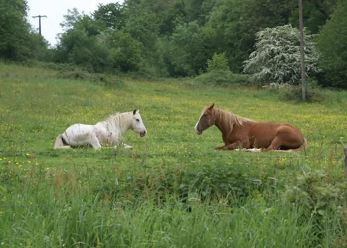 Moulin Des Sablons Ferienhaus *