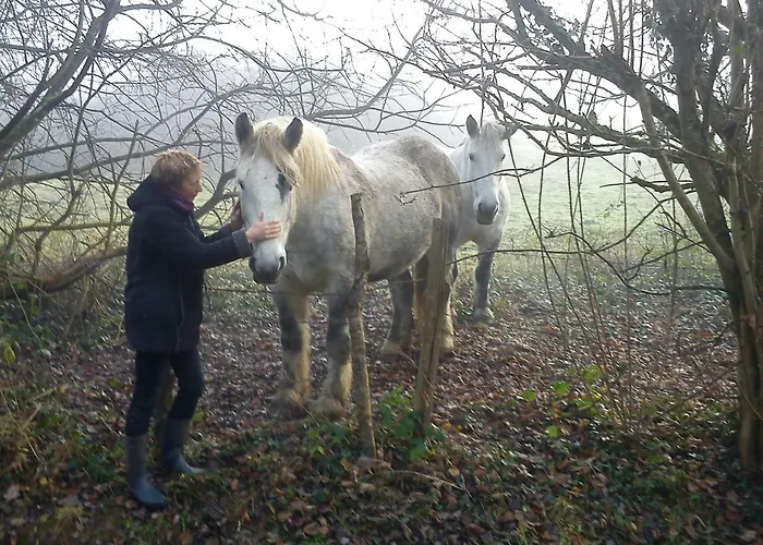 Moulin Des Sablons Ferienhaus