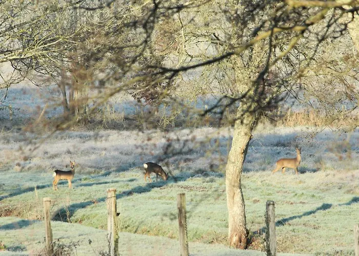 Ferienhaus Moulin Des Sablons