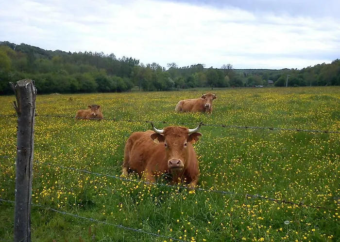 Moulin Des Sablons * Malétable